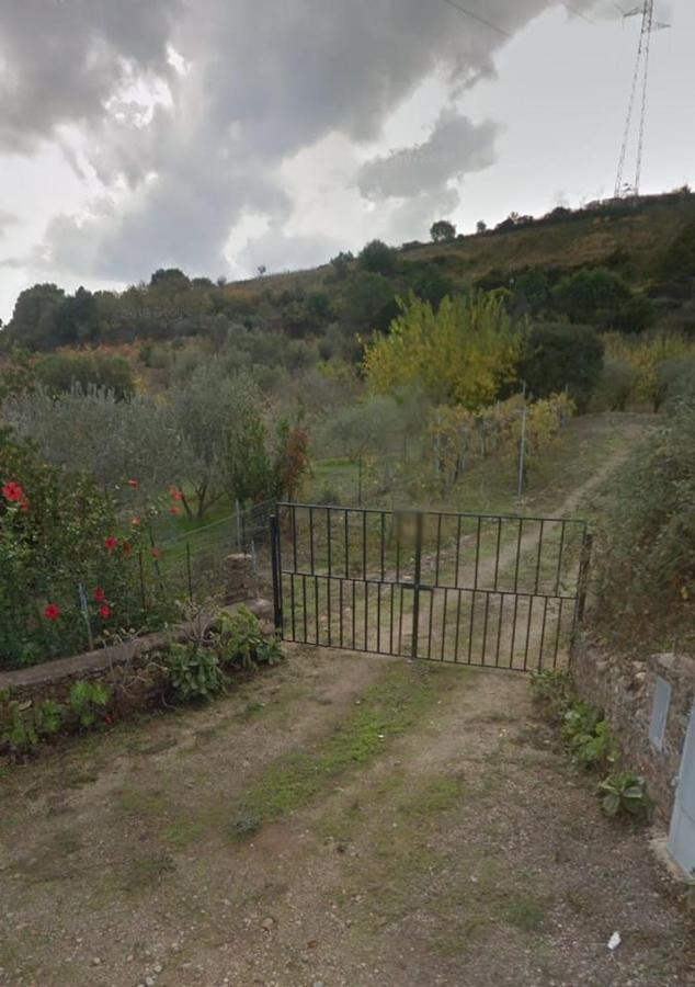 Villa Ulivella Schifoni Exterior foto