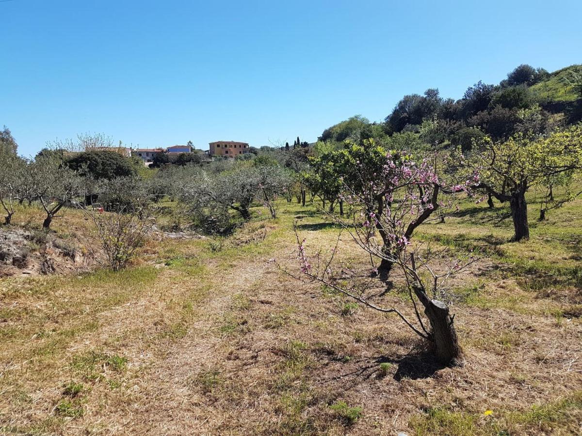 Villa Ulivella Schifoni Exterior foto